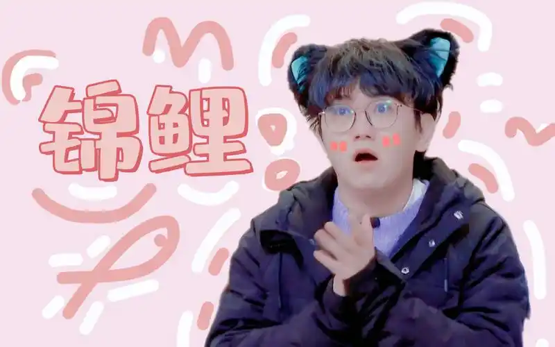 【锦鲤】配音演员锦鲤个人安利向_哔哩哔哩_bilibili