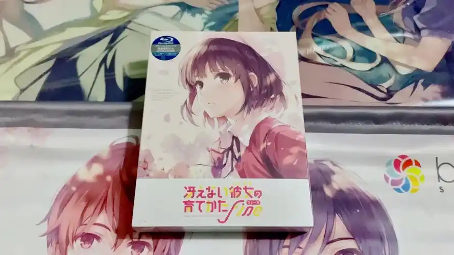 路人女主的养成方法fine剧场版bd及特典