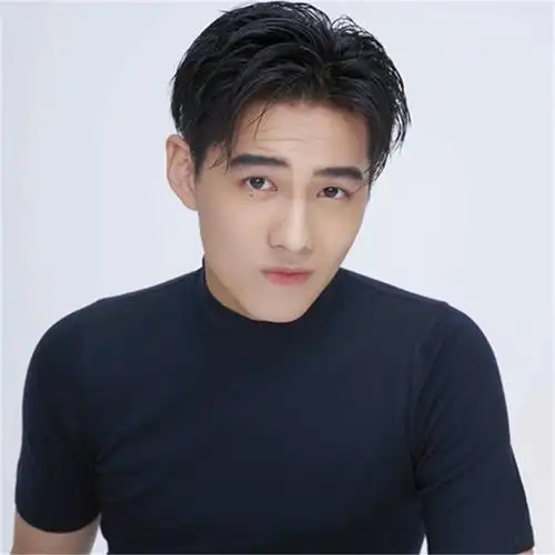 郑伊健假发时尚男士假发男生长发帅气短发蓬松韩版非主流中分假发现价