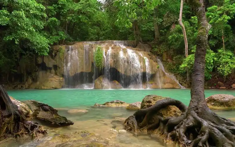 4k60p 高清森林好风景,零距离接近大自然舒缓解压,风景视频素材,美的