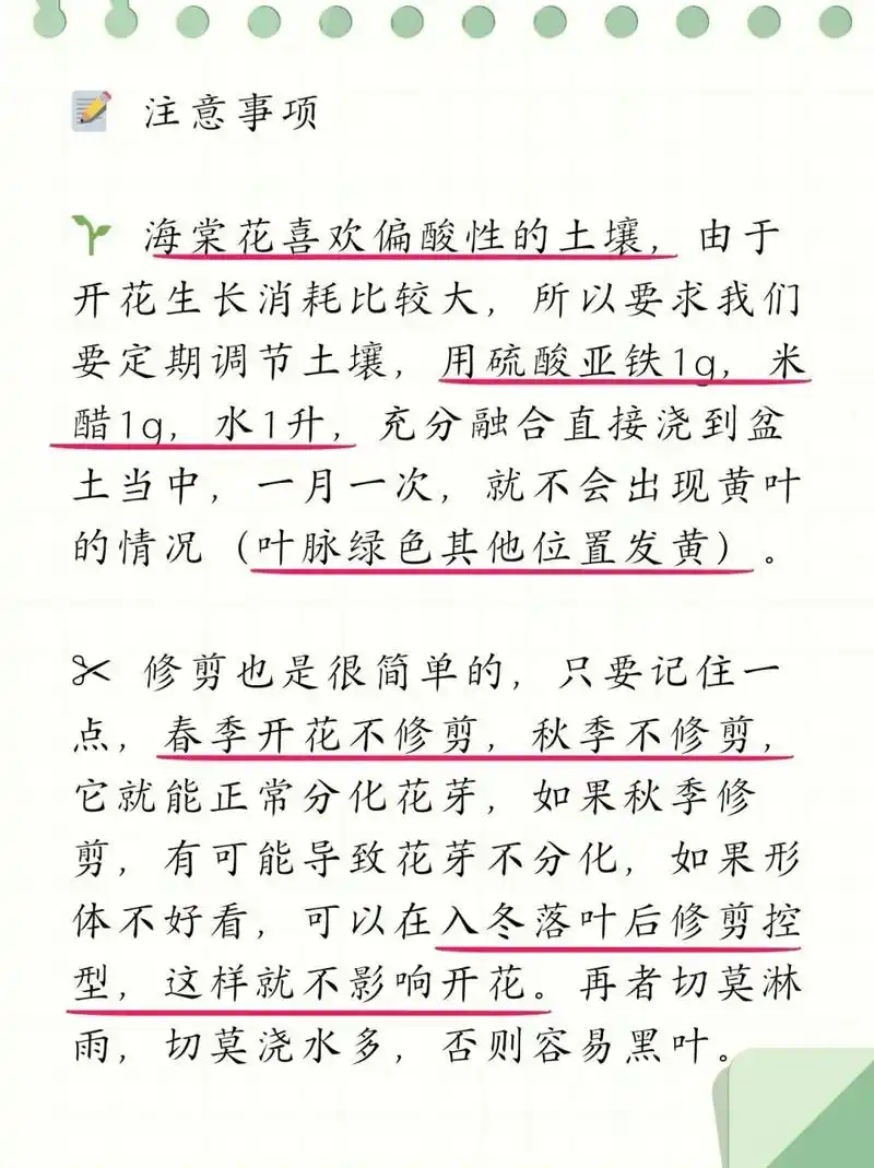 海棠花的养殖方法和注意事项 盆栽  94 揭秘海棠花的养护秘籍:光照