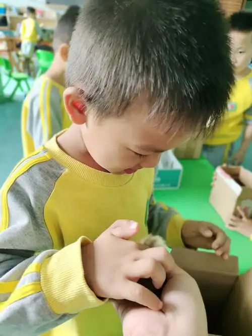 (健幼启慧幼儿园)我是闪亮之星吴俊熹!请为我点赞哟