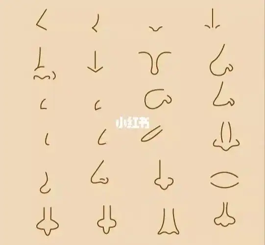 人鼻子简笔画图片儿童简笔画画人物画人物一定要会画鼻子手绘人物鼻子