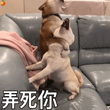 动态音乐表情包