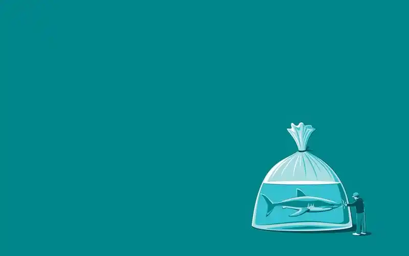 有什么干净清爽的壁纸? - 知乎