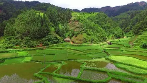 农村小伙行走大山发现这个单独房子地理位置不错环境也很好