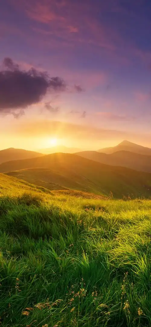 唯美日落山脉绿草手机壁纸