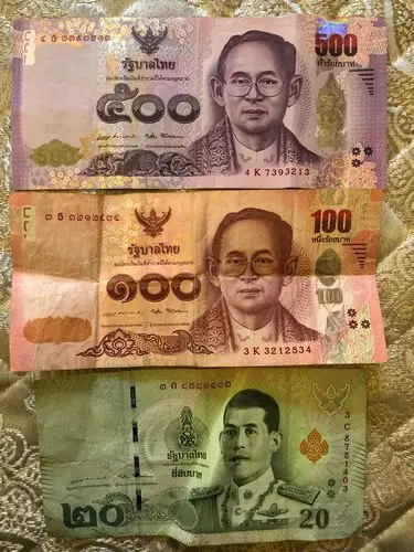 在旅途中收集数字信息!304班罗美熙