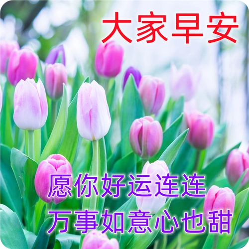 微信超级漂亮的早安图片带字,好看的早上好图片表情