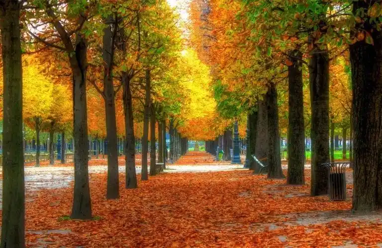 点评23张秋色照片,讲4组示例,拍摄美景从身边开始