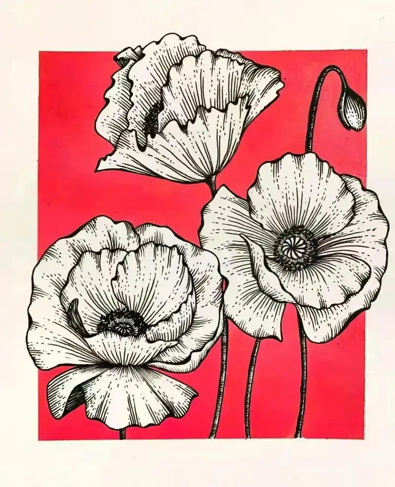 简笔画 #线描花卉 #绘画素材 - 抖音