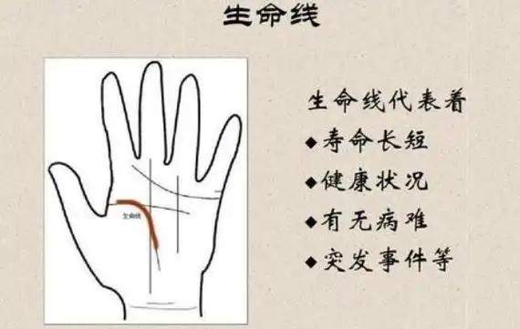 手上的生命线跟寿命有什么关系生命线详解
