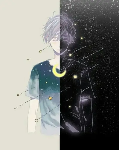 情侣头像左边白右边黑还带流星雨的