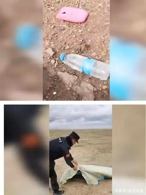 失联女大学生独闯可可西里确认死亡!在无人区发现,只剩一副骨骸