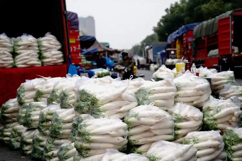 探访上海最大蔬菜批发市场严格防疫交易红火