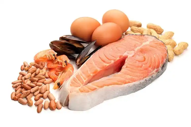 蛋白质图片_蛋白质高清图片_全景视觉