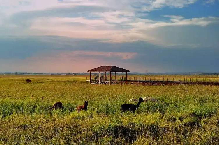 河北沽源--五花草甸景区