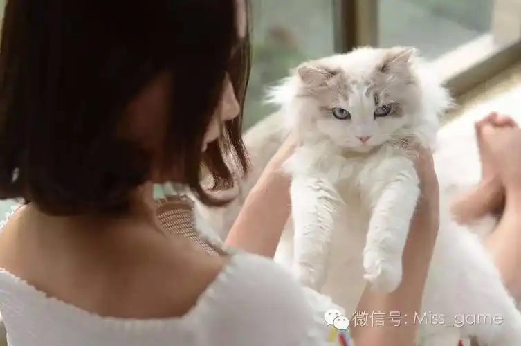 看着miss大小姐一众女神个个成为猫奴,我只想说,放开那只猫,让我来