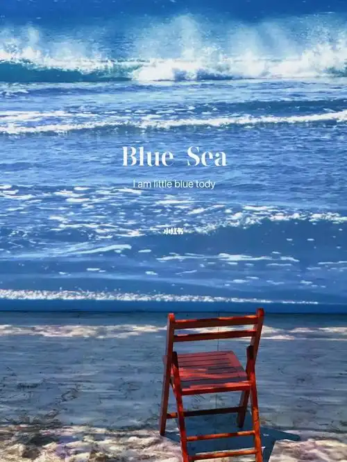 可以看海|蓝港的超mini免费展览,冲7515