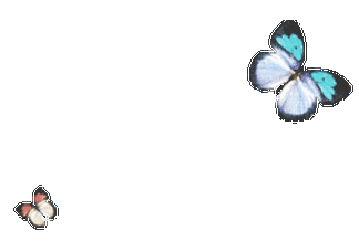 342_230gif 动态图 动图