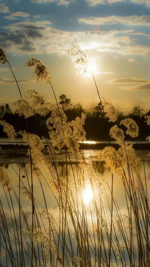 微信聊天背景图 抖音背景墙图片400张-徐拾记官网