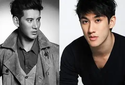 蒲巴甲和王力宏为什么这么像,蒲巴甲和王力宏那个帅