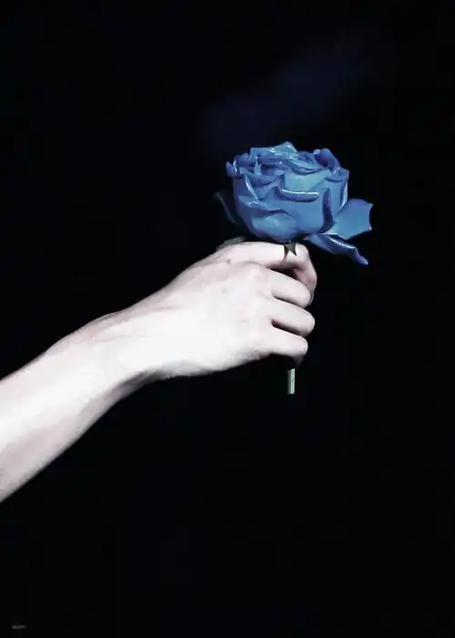 边伯贤手花lightsaber你是孤独的花