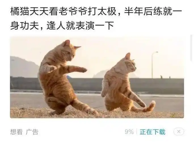 这都可以写成新闻?_幽默搞笑_乐愚社区