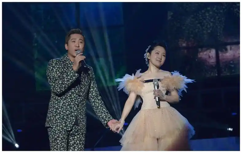 杨钰莹毛宁金童玉女30年坎坷人生路毛宁隐退杨钰莹至今未婚