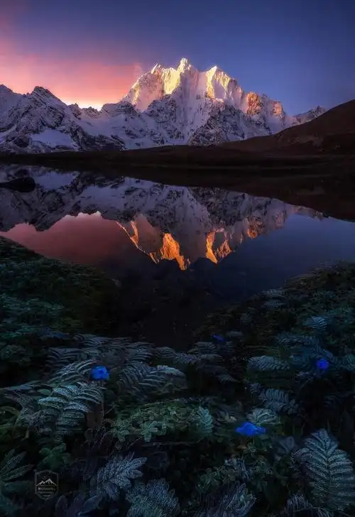 就如《断背山》1319_1920竖版 竖屏