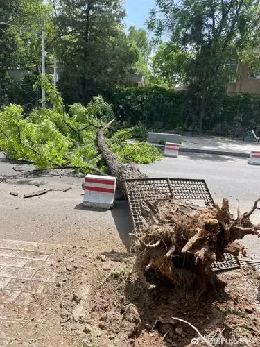 今——天——的——风——好——大!_腾讯新闻