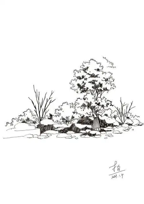 风景速写树的简单入门教程速写风景各种不同树木的画法