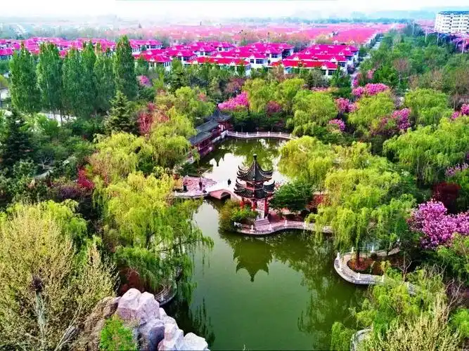 鲜美四季莱阳濯村樱花节来了邀您赴一场春暖花开的浪漫之约