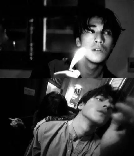 但请别用吹好吗他以前拍《重庆森林》,《堕落天使》的时候真的是阳光