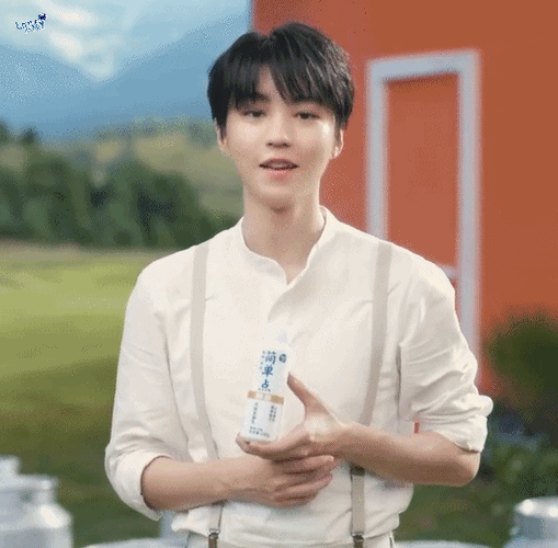 王俊凯味全乳品代言人