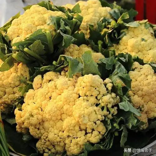 买花菜时,买紧花还是散花的好?看似一样区别挺大,看完