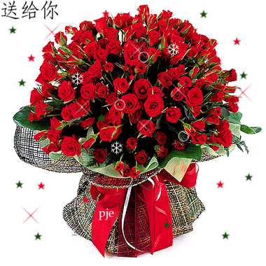 一束玫瑰花,送给心爱的他(她),既是传达自己的心意,也能拉近彼此的