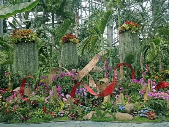 魔都美出新高度2024上海国际花展开幕最出片的打卡点都在这儿