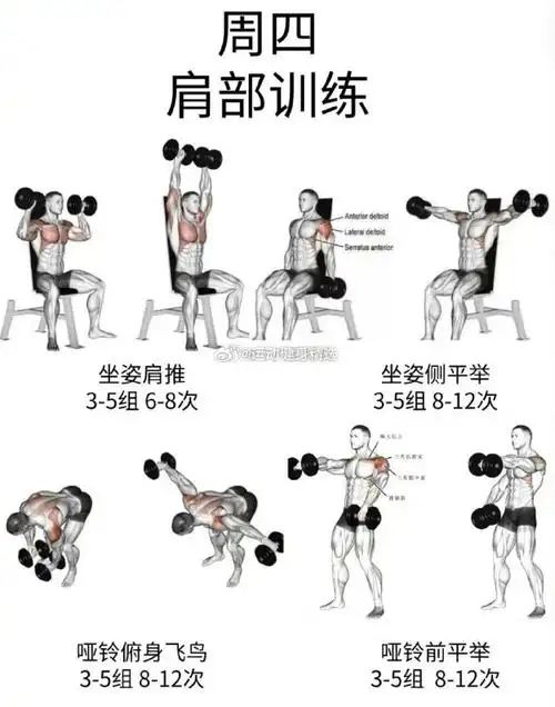 全面的健身动作!按照这样练迟早您会拥有一个完美的体型!