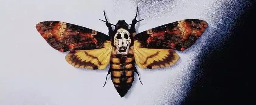 谁说中国没有世界顶级的电影海报