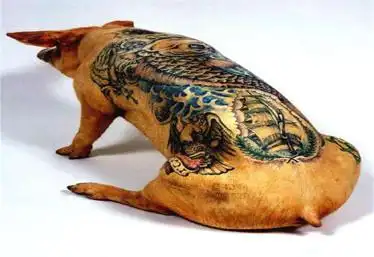 艺术家在猪身上纹身猪的身价直接上涨网友活得不如一头猪