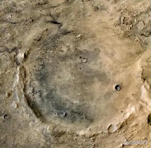 2008年nasa拍摄的火星照片其地表竟长出了树难道火星存在生命