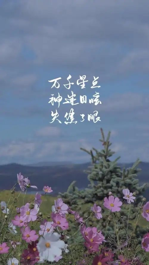 唯美风景文字图片手机壁纸