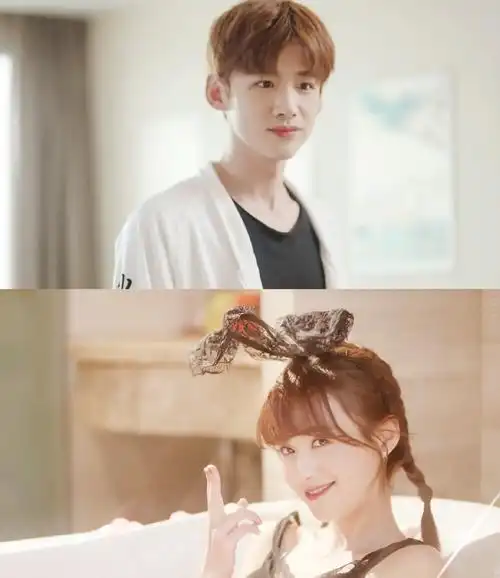 白敬亭 郑合惠子