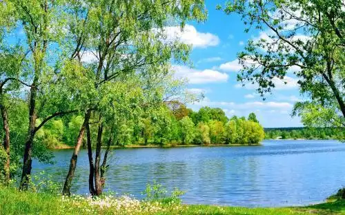 2020年最流行的一句话精选,简单精辟