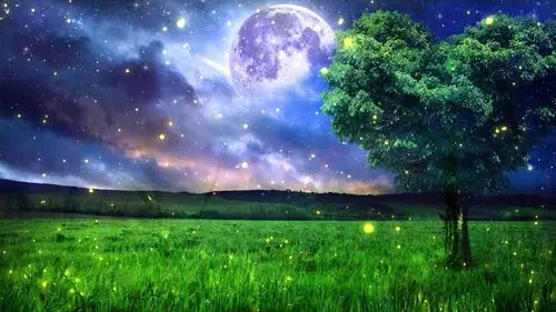 梦幻星空草地舞台背景视频