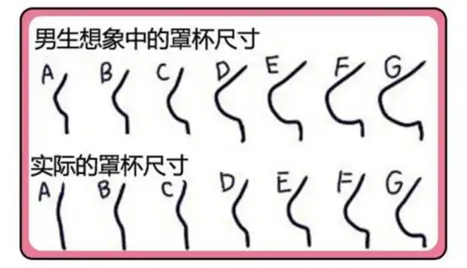 d罩杯有多大女性abcd那个罩杯更小