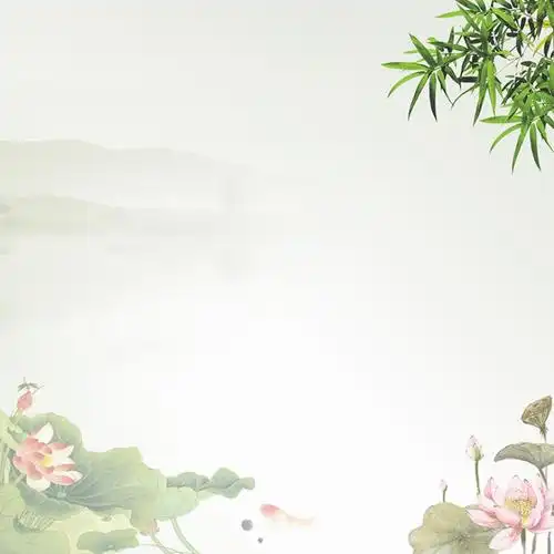 水墨中国风养生主图模板