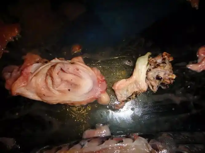 像拆零件那样解剖龙鱼你真没那么了解它画面血腥胆小勿点