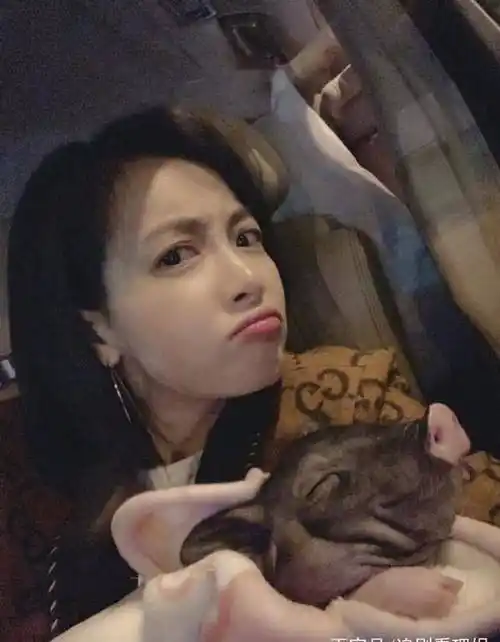 热巴宋茜手牵手上厕所,张钧甯带头引路很暖,陈伟霆炸毛造型搞笑_活动